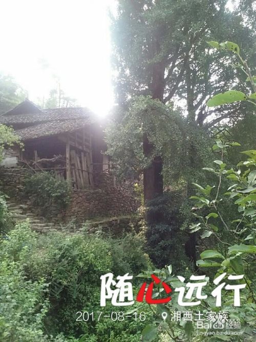 收藏旅游中美丽景观的方法