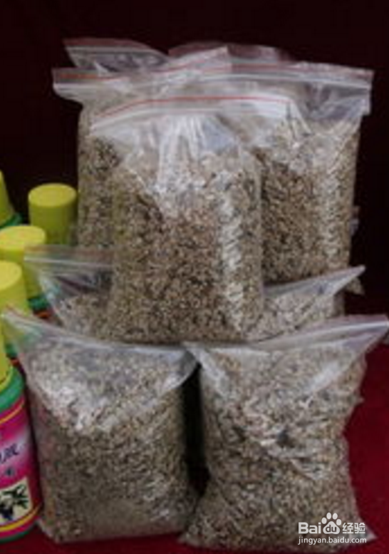 如何把玉露种的美美的，玉露如何开花