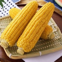 营养美味炒米饭