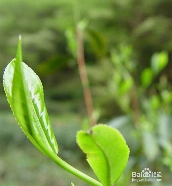 微信营销如何快速增加精确的粉丝