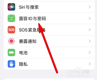 iphone如何设置替用外貌