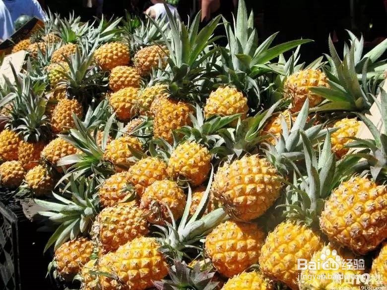 买完菠萝顶花一定要拿回来！