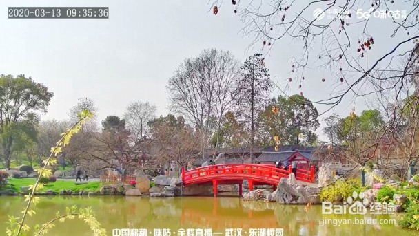 武汉大学云赏樱链接入口在哪里？