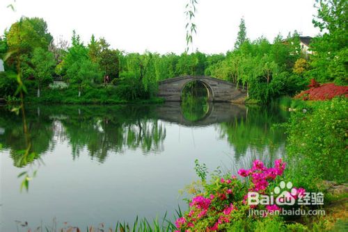 关于血小板减少的病因