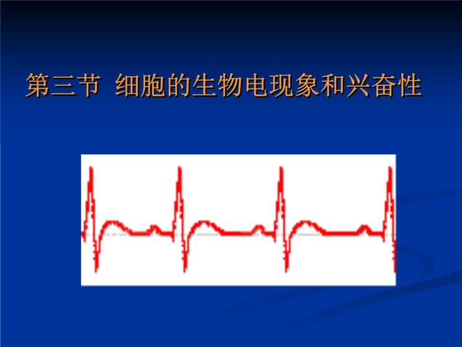 兴奋性名词解释是什么