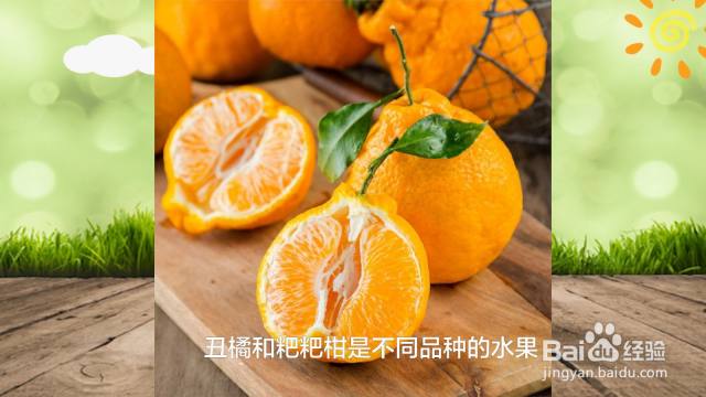 粑粑柑和丑橘是一种水果吗（粑粑柑和丑橘有啥区别）