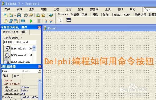 Delphi编程如何用命令按钮