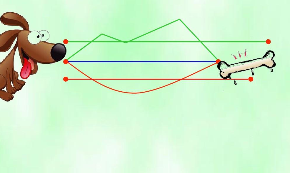 小学数学小动物走格子的怎么数