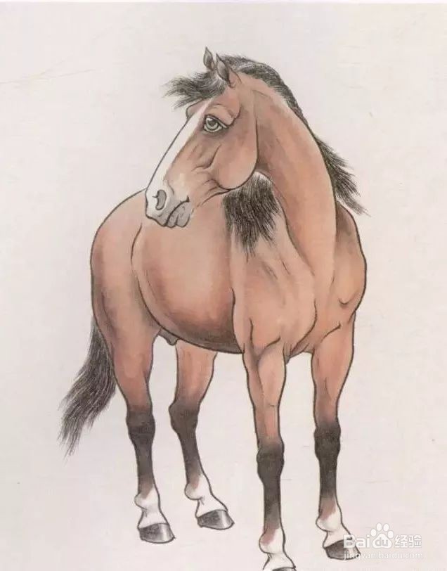 国画马的画法步骤
