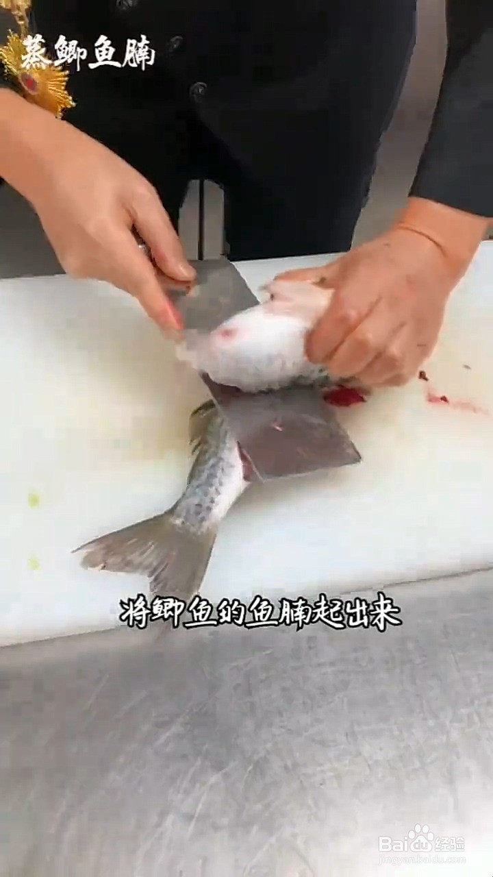 如何制作蒸鲫鱼腩?