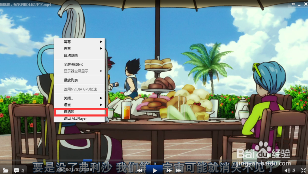 怎么设置allplayer的首选项