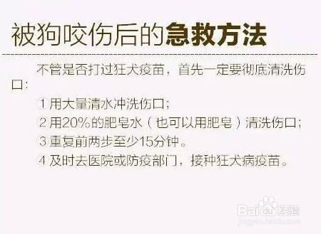 被狗狗咬了一年后，该怎么办