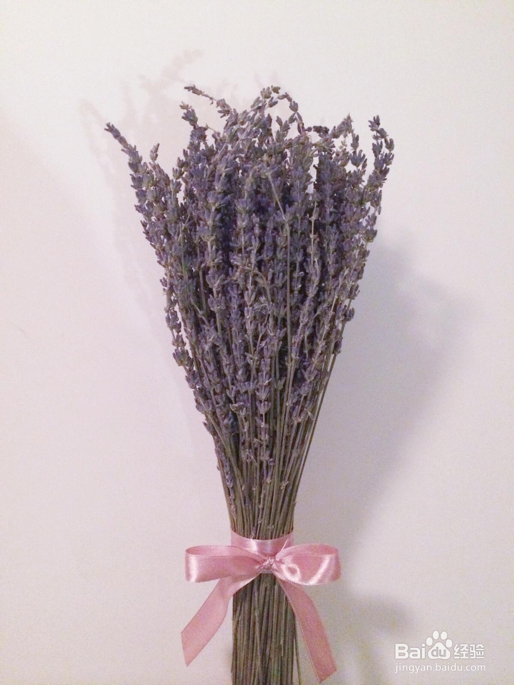 切花的延衰保鲜方法