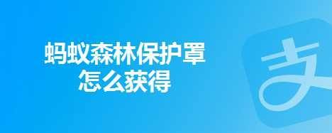 蚂蚁森林保护罩怎么获得-百度经验