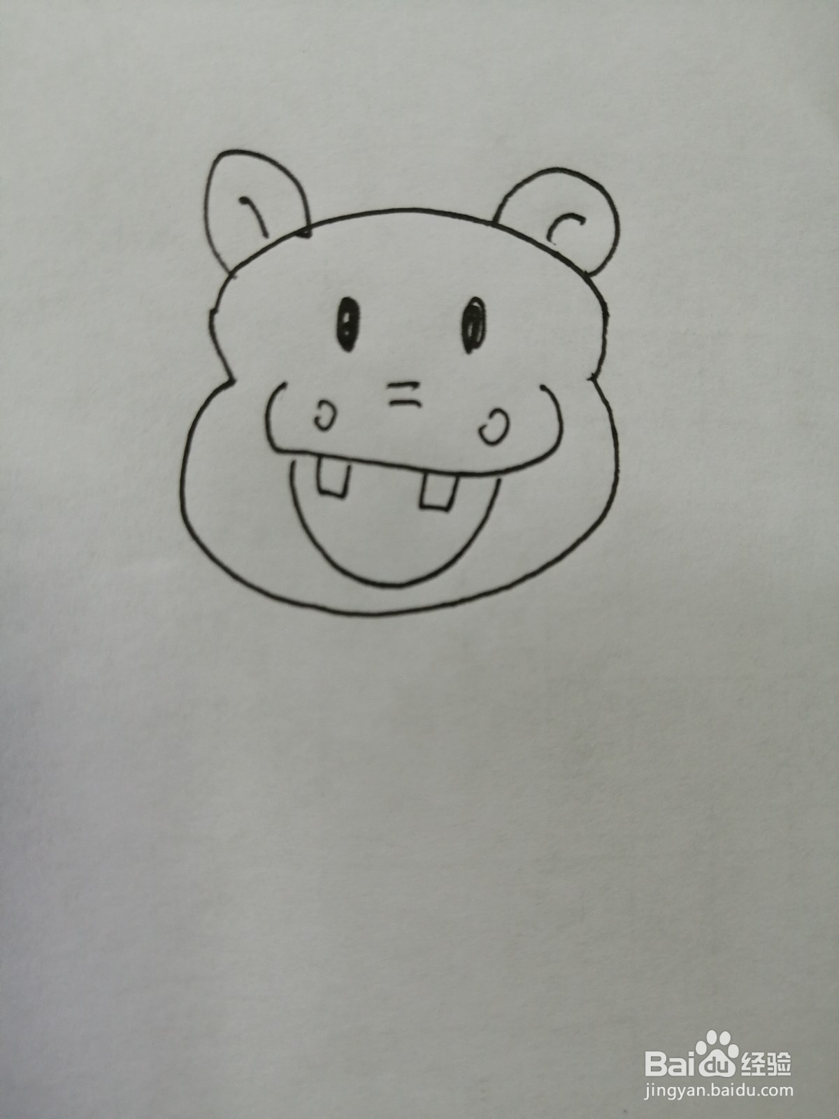 可爱的小河马怎么画