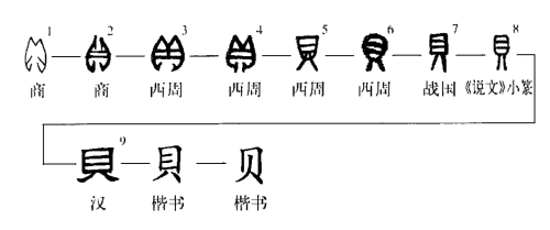 贝甲骨文演变图片