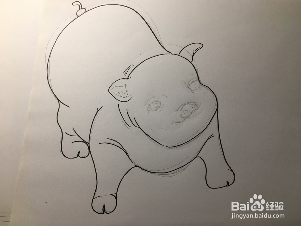 教你画一只萌萌的肥猪 猪年简笔画猪