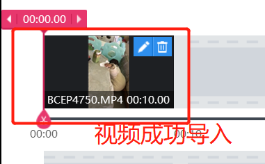 如何设置视频格式和分辨率