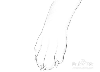 如何绘制狗爪