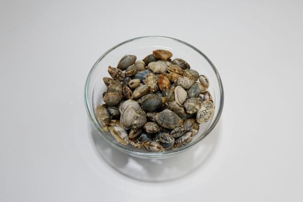 上汤花蛤娃娃菜