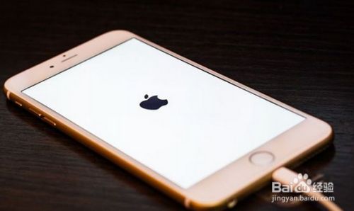 苹果手机白屏怎么办 百度经验