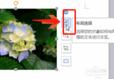 在wps怎么移动图片？