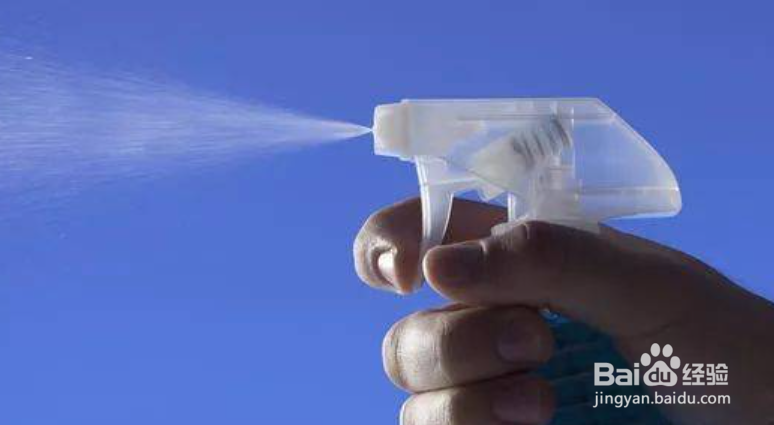 遇到蟑螂应该怎么处理