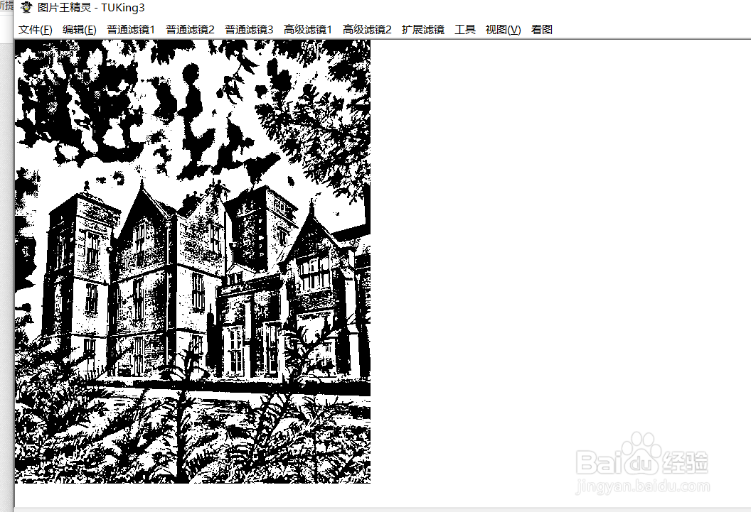 如何使用图片王精灵将图片做成黑白画效果?