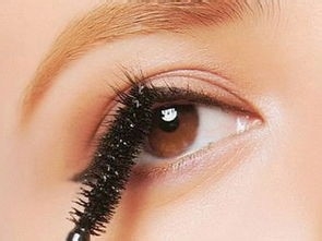 睫毛膏正确的使用方法和步骤