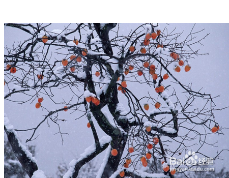 在国内旅游注意什么