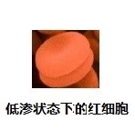 探究红细胞渗透吸水和渗透失水原理的实验