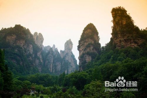 张家界自助游咨询