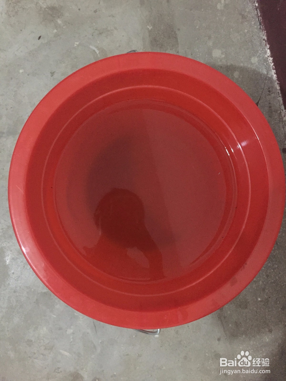 如何不用鞋油保养皮鞋