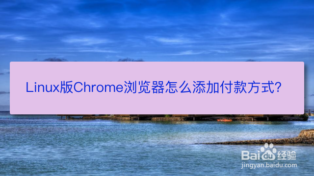 <b>Linux版Chrome浏览器怎么添加付款方式</b>
