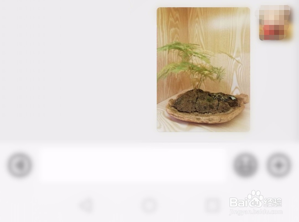 微信图片怎么撤回