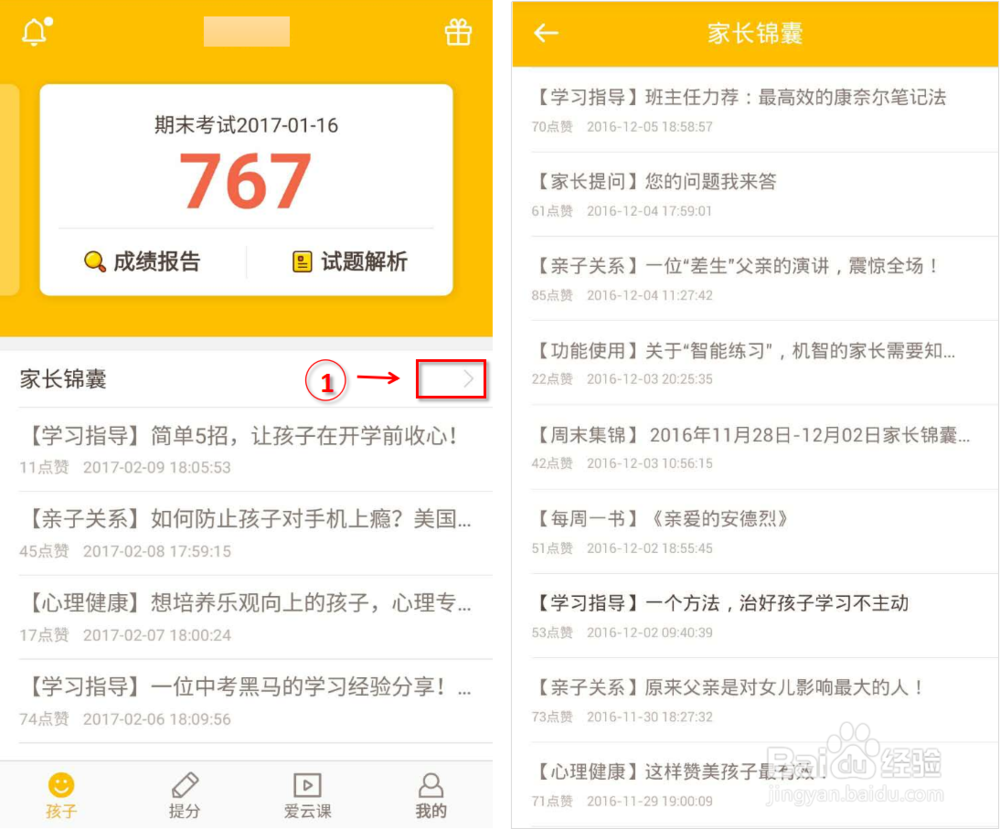 好分数家长锦囊怎么用？