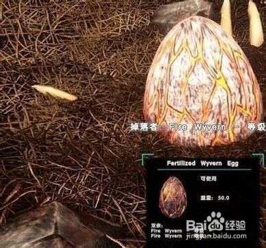 方舟生存进化飞龙蛋怎么孵