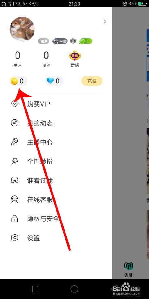 皮皮蛋怎么充值P币和蓝钻