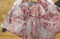 剁椒鱼头家常的做法