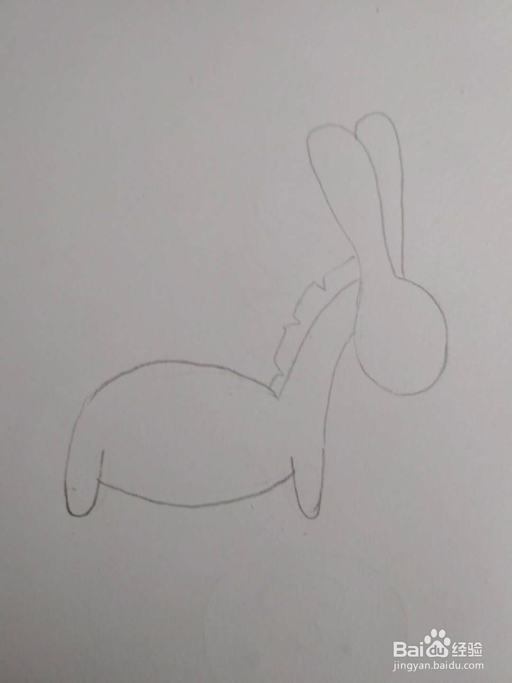 多妈简笔画动物一只顽皮的小毛驴