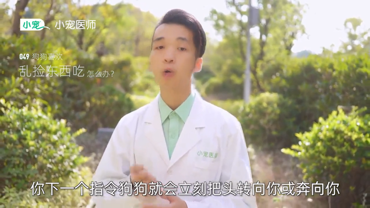 狗狗乱捡东西吃怎么办