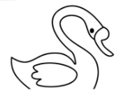 天鹅简笔画的画法步骤