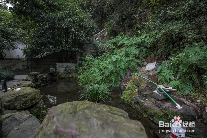 诗画浙江畅游杭州攻略2