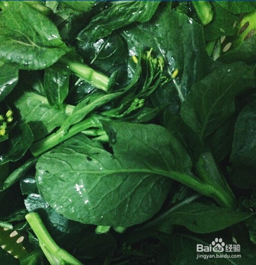 家长菜-爆炒菜心