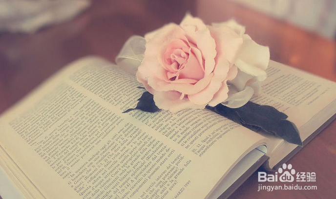 四六级写作万能句型