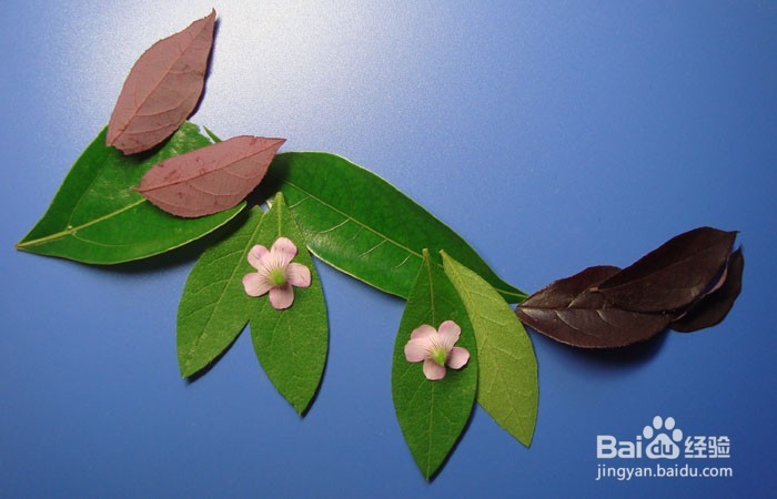 植物艺术画拼装聪明的小狐狸