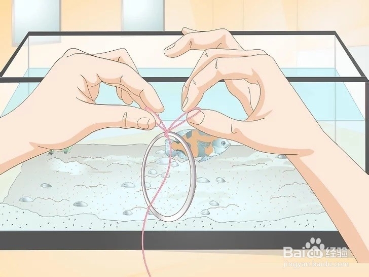 如何训练你的鱼？