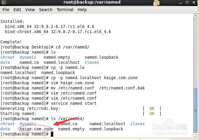 linux中构建主/从DNS服务器的图文详解