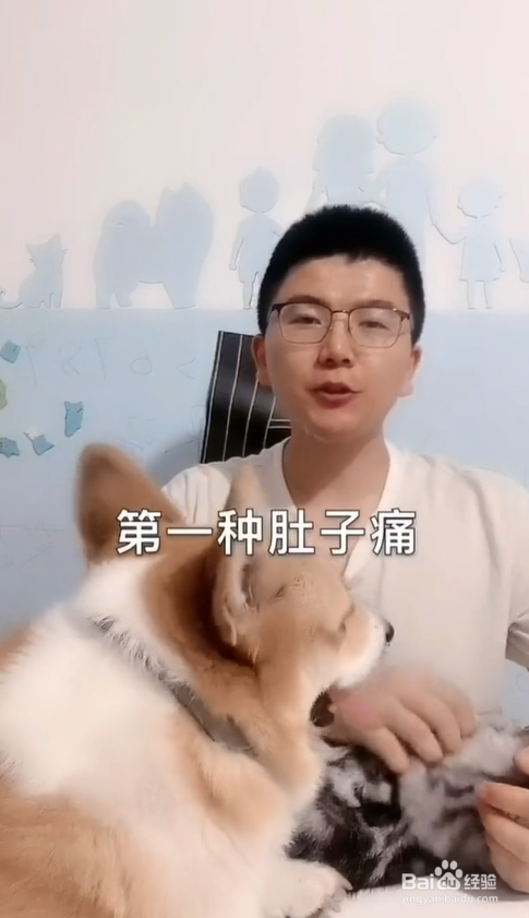 狗狗疼痛时有哪些表现