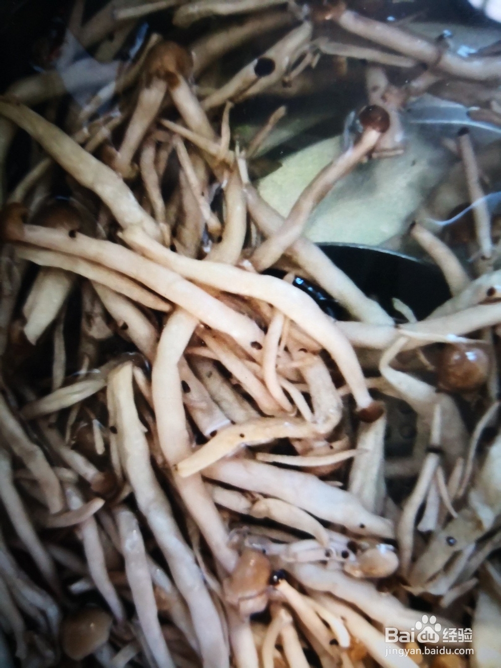 制作蟹味菇炖白菜攻略